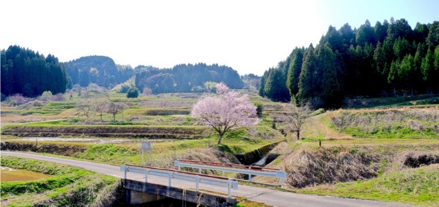ろんくま風景