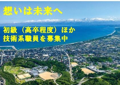 職員募集