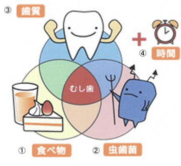 こどもの虫歯予防 氷見市