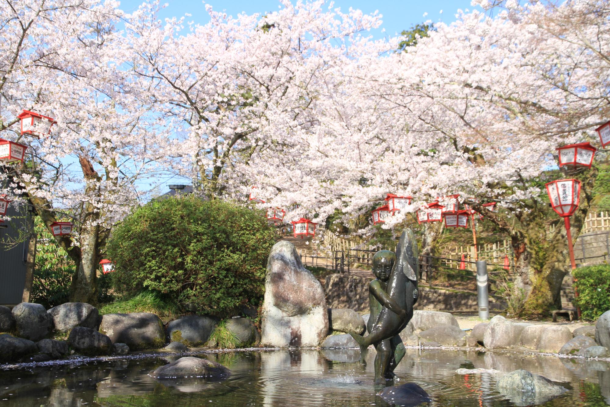 朝日山公園の桜