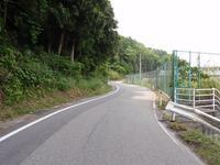 両端に森と柵が見える、舗装前の道路の写真
