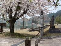 桜の木の近くにフェンスが広がっている写真