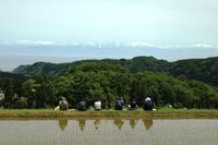 6人が田んぼに座って立山連峰を眺めている写真