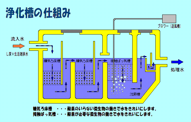 浄化槽の仕組み図