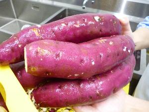 10月11日 さつまいも写真