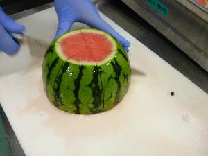 7月22日 すいか写真