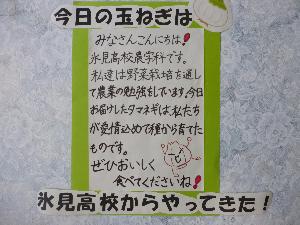 6月21日 玉ねぎ 紹介文
