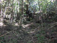 木漏れ日がさす山の急斜面にある竹里山の岩屋堂の写真