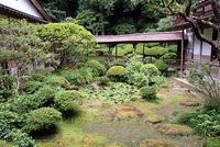 渡り廊下を正面にし手前に蓮の葉が覆う池と植樹と苔が地面を覆う庭の写真