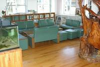 青緑色のソファと、本棚が置かれており、木のオブジェクトがおかれた部屋の写真