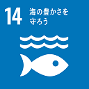 sdgsgoal14