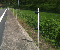 木々や草が生い茂る場所と舗装された道路に建てられている電気柵の写真