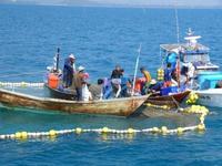 海で漁船が網を張っている写真