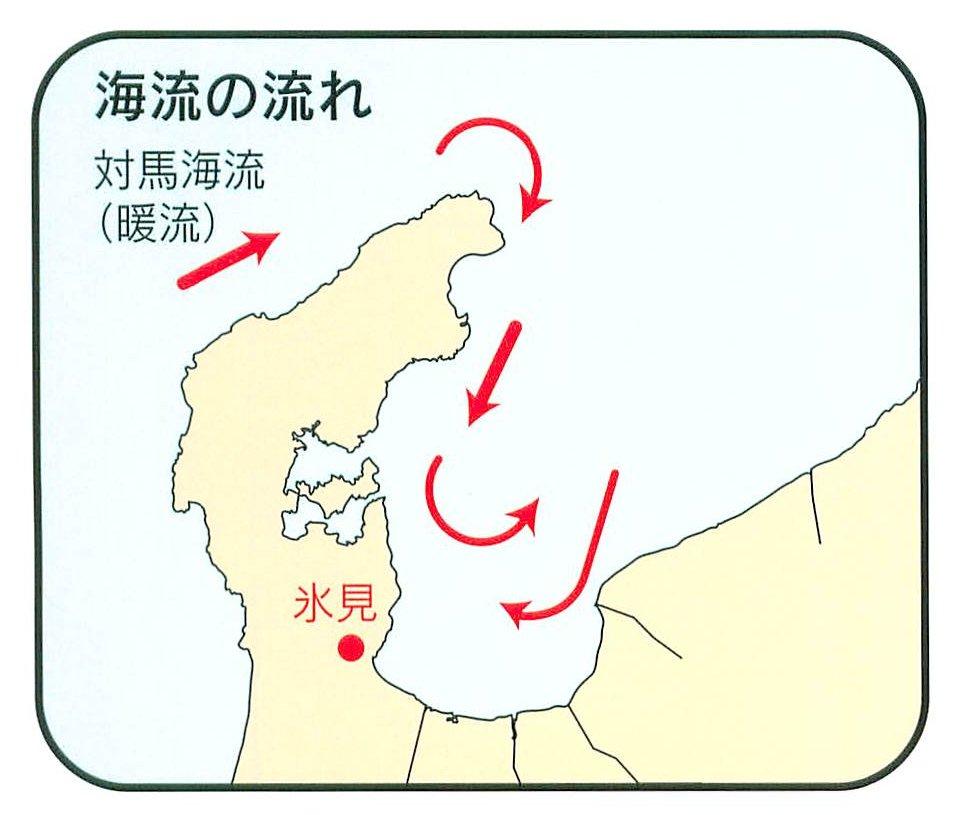 富山湾の海流の流れを表したイラスト